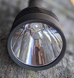 D1S_2