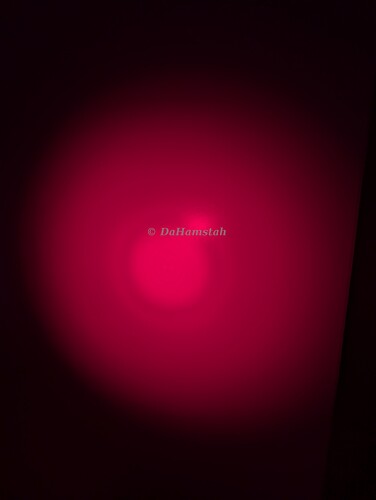 PXL_20260305_191716869