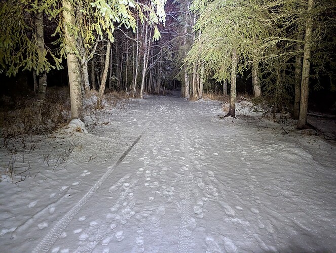 PXL_20250110_125755782