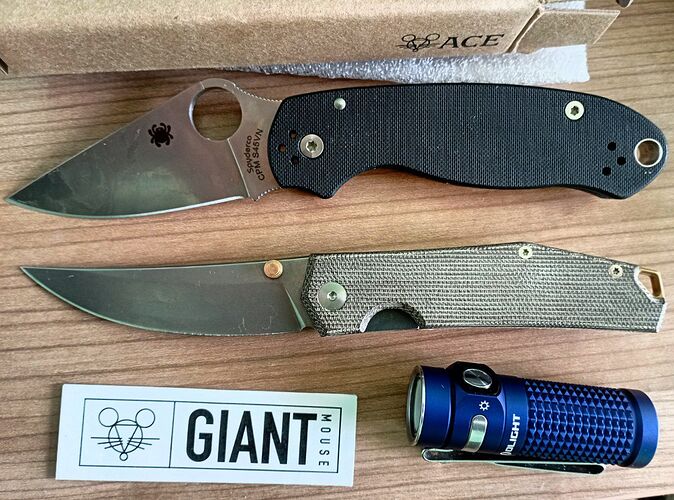 IMG_20250228_125639_069