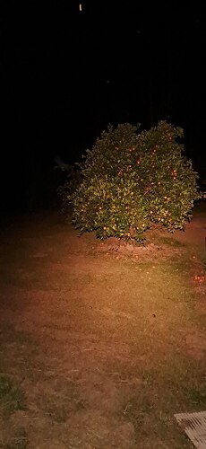 IMG_20251207_205209_997