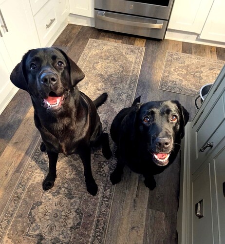 Screenshot_20251030_142526_Messages_1761859809580_1765058942007