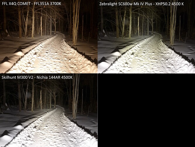 Trail