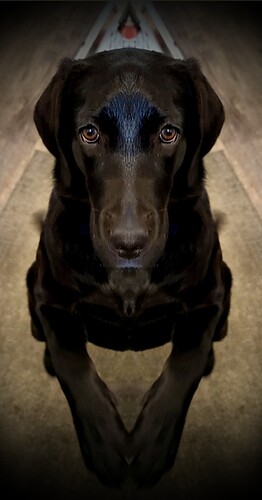 Screenshot_20251206_073515_OneDrive_1765049320634