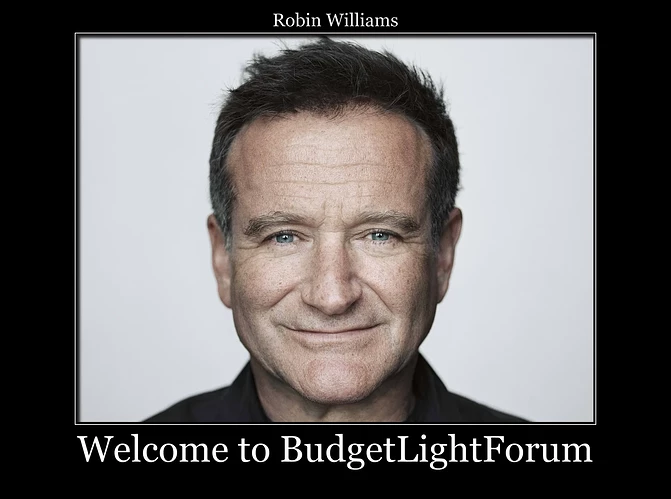 18 Robin Williams