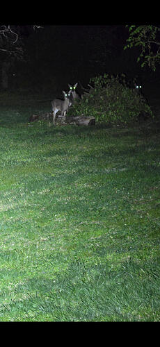 Screenshot_20260405_222138_Gallery