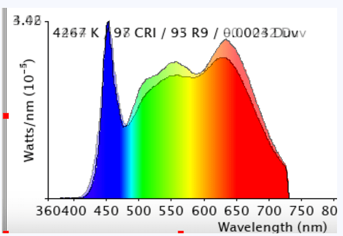 Screenshot 2024-01-10 025719