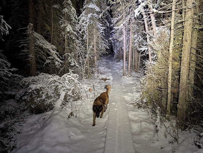 PXL_20250110_131436780.MP