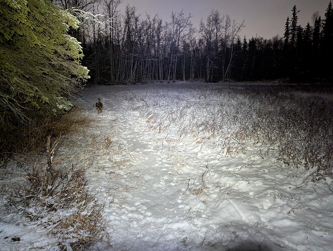 PXL_20250110_124750832