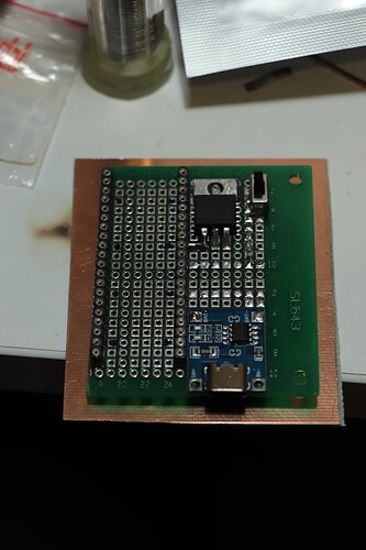 Started on the perfboard