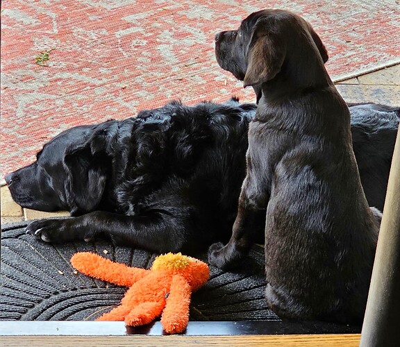 20250505_101628_1746465495920_1748019444588