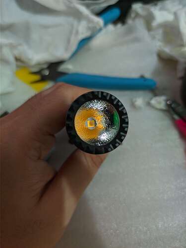 PXL_20250430_081336464