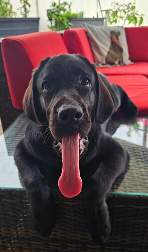 Screenshot_20250523_093556_Gallery_1748018224435