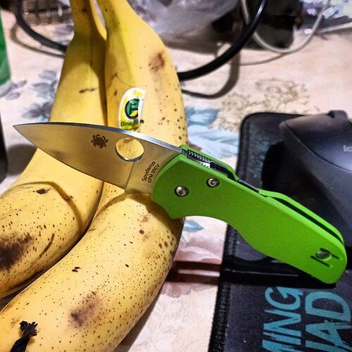 IMG_20250331_004306_176