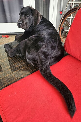 20250523_093423_1748019212867