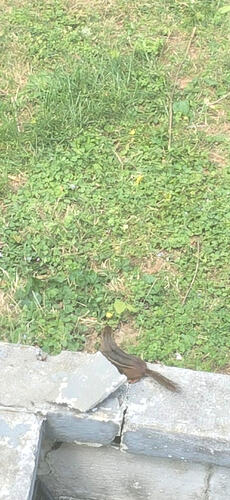 Screenshot_20260406_230629_Gallery