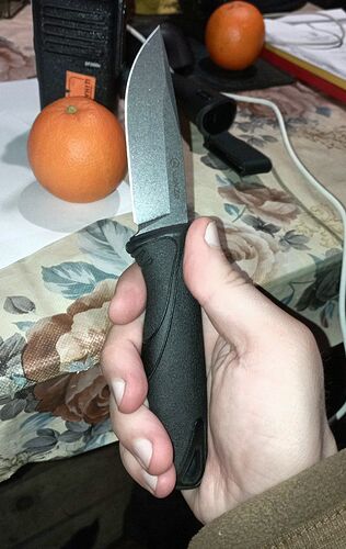 IMG_20250321_212006_450