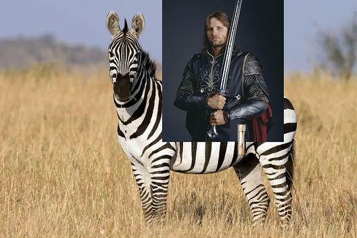 Anduril on a Zebra
