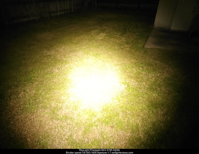 20240215_212206 (Large)