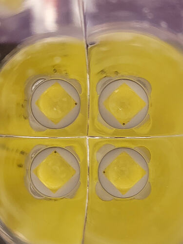20260304_141855