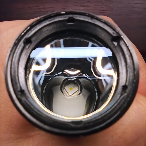 the head, CULNM1 inside