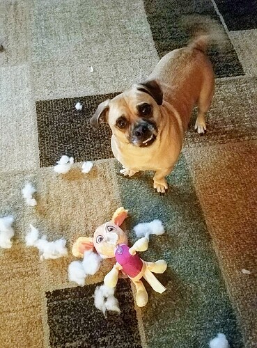 IMG_20161128_193201_1480379569744