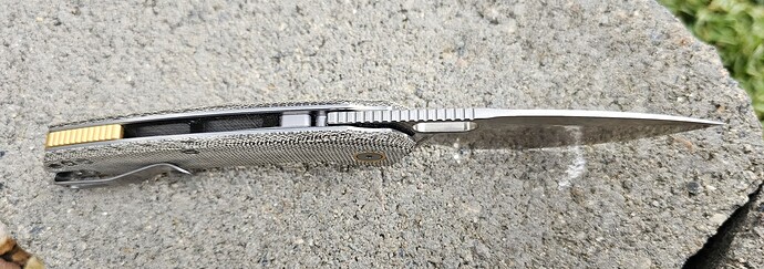 20250328_085402_1743177495392