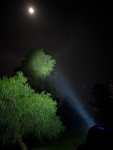 nextorch-estar-beamshot