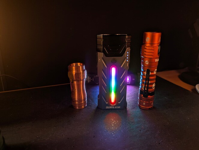 PXL_20251212_083450744.MP