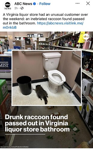 drunk-raccoon-passed-out-in-bathroom