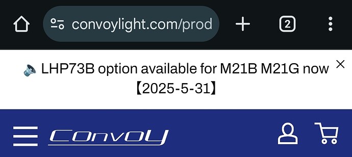 Screenshot_20250531-174244_Chrome (1)