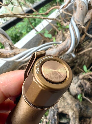 0709661A3B10C682E2D133C4527FB2B8