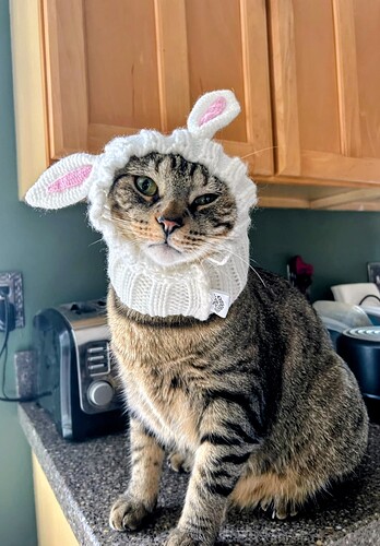 7326318318591479718~2