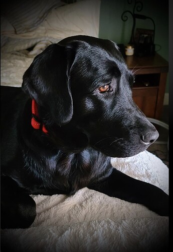 Screenshot_20251206_113418_Gallery_1765049702062