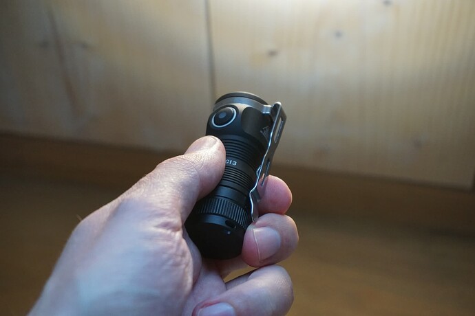 Flashlight grip