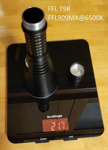 T9R_balance