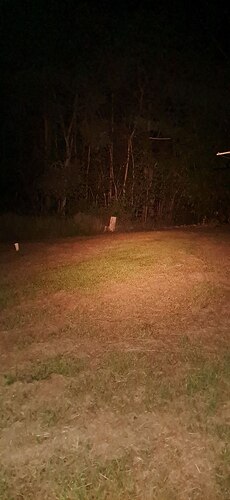 IMG_20251207_205216_355