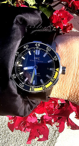 20260311_083129_1773243274156