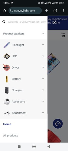 Screenshot_2024-10-23-11-34-15-164_com.android.chrome