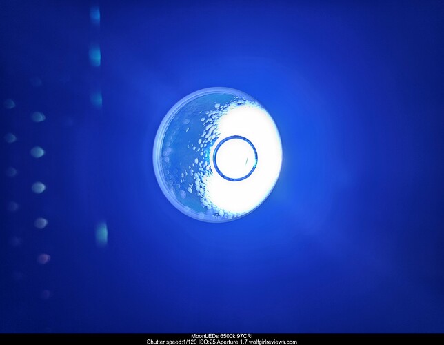 orig_20240215_205728 (Large)