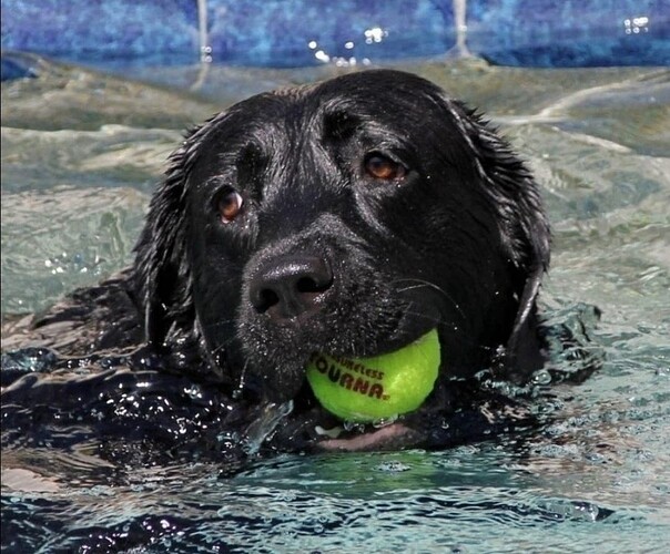 Screenshot_20251205_142500_Chrome_1765049338010