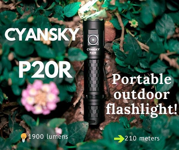 Portable Outdoor flashlight. (2)