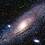 Cygnus