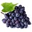 merlot