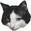 naul